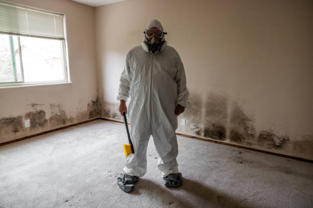 South Gull Lake, MI Mold Remediation Company